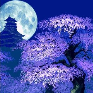 Meet your Posher, Nicholas